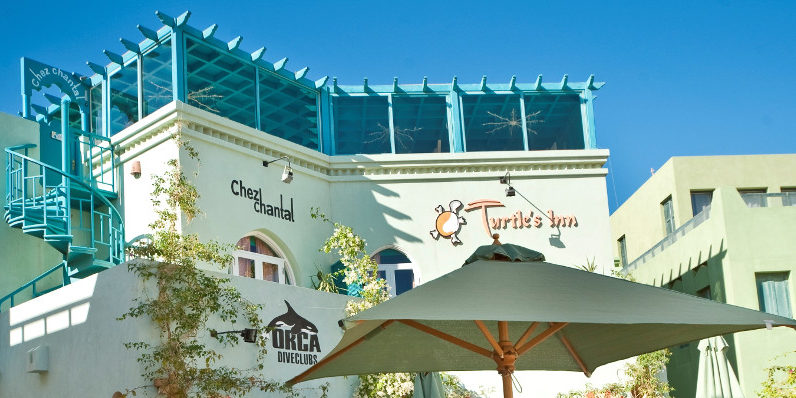 Take this quiz to find out which Turtle’s Inn room is for you?