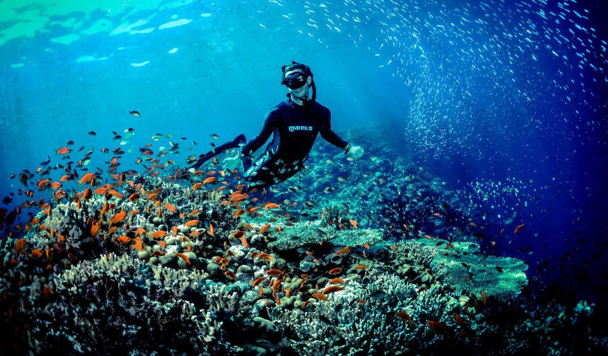 The Complete Guide to Diving and Kitesurfing in El Gouna