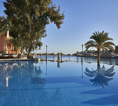 Coral reefs in Red Sea deeps by Dive Trek Diving Center in Sultan Bey El Gouna Hotel