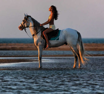 A girl is riding horseback during the sunset along the shores of El Gouna Red Sea