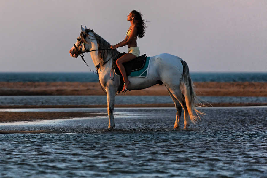 A girl is riding horseback during the sunset along the shores of El Gouna Red Sea