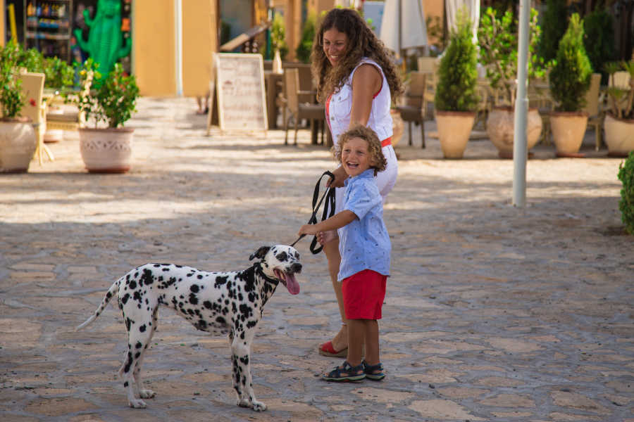 A kid with his mom and their dog feeling cheerful in El Gouna Red Sea
