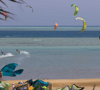 the kites from Kite People Kitesurfing Center in Mövenpick Resort in El Gouna