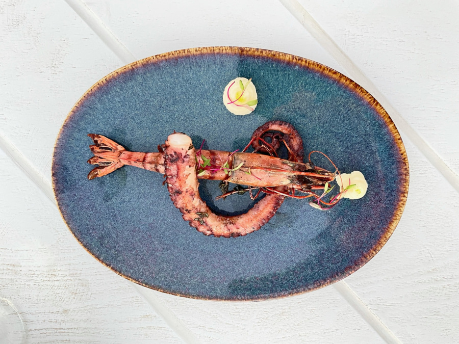 calamari plate at aurora