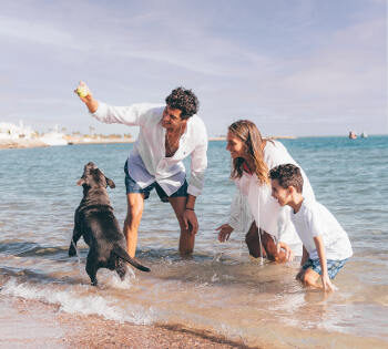 family with kids and dog playing on the sandy beach of el gouna red sea