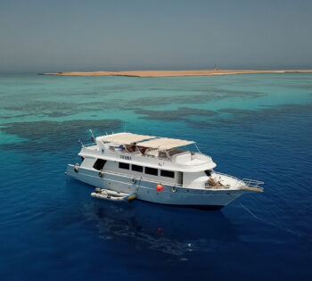 diving boat with tender on red sea reef near island