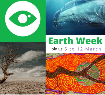 earth week 2022 el gouna red sea egypt